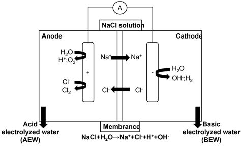 electrified salt water|Electrolyzed Water and Its Pharmacological Activities: A Mini .